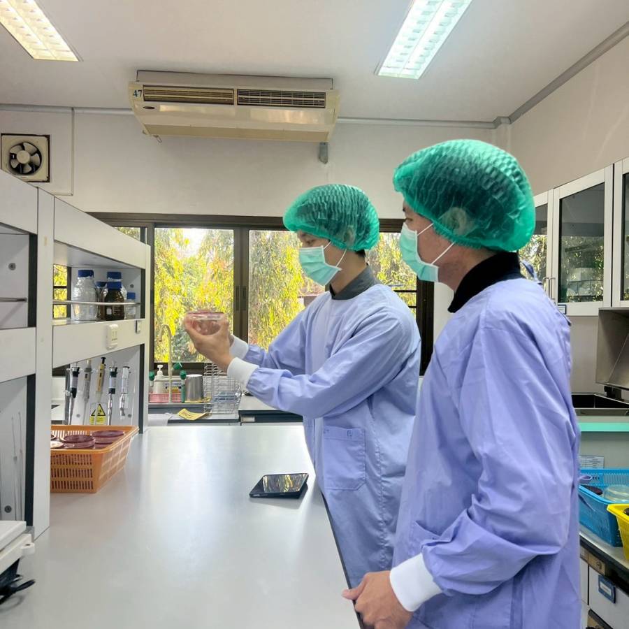 สำนักตรวจสอบคุณภาพสินค้าปศุสัตว์ ตรวจติดตามคุณภาพภายใน (Internal audit) ห้องปฏิบัติการเครือข่ายด้านการตรวจสอบคุณภาพสินค้าปศุสัตว์ตามระบบมาตรฐาน ISO/IEC 17025 ประจำปีงบประมาณ 2569